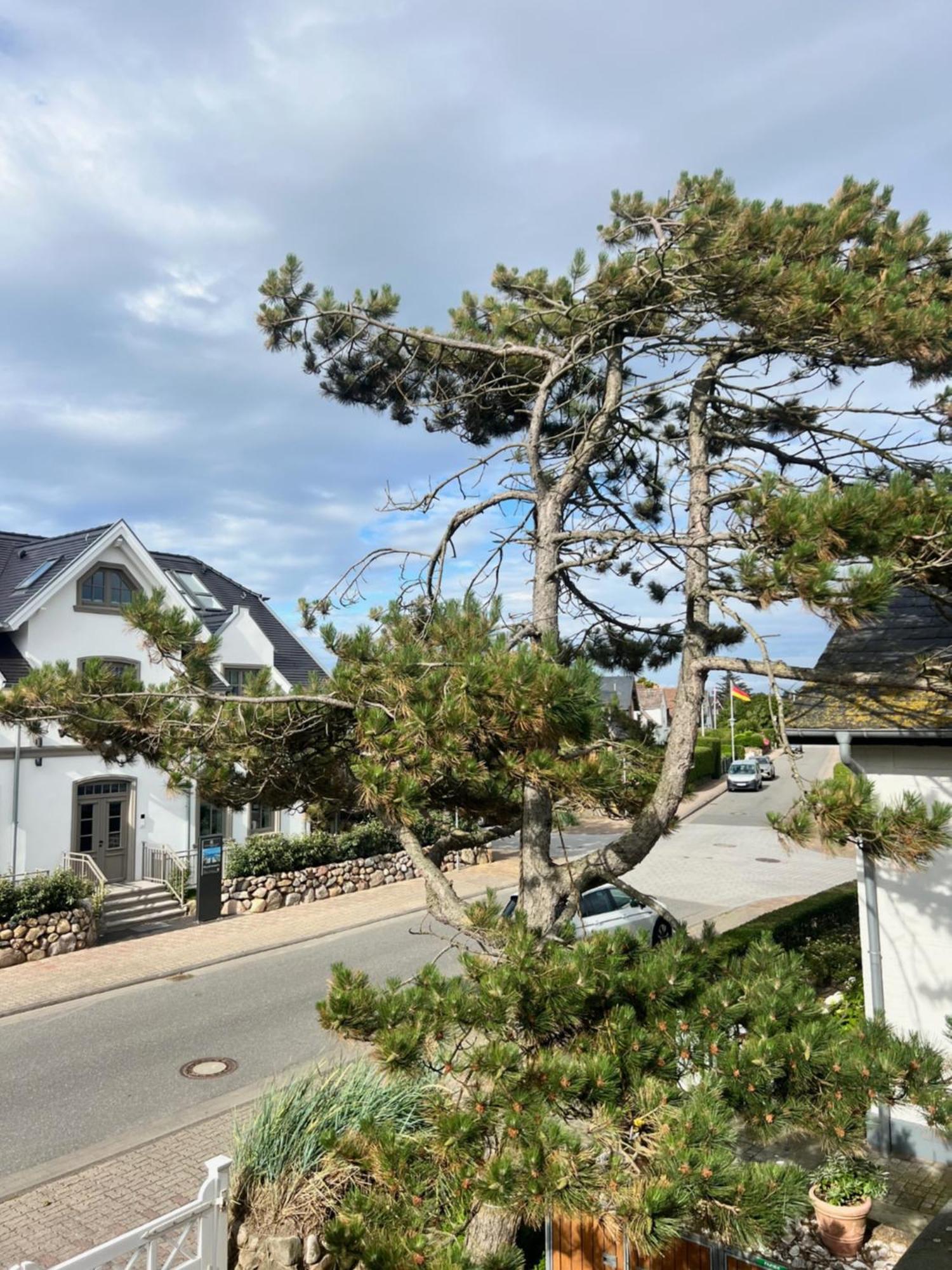 Apartment Sylt Island House Westerland